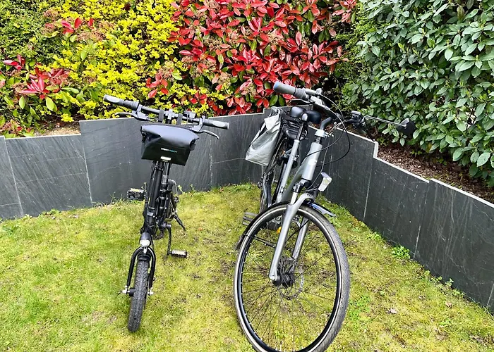 Проживание в семье Greg House 49 - D'hotes Beaupreau-en-Mauges